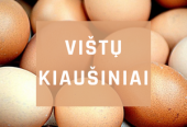 Naminiai vištų kiaušiniai